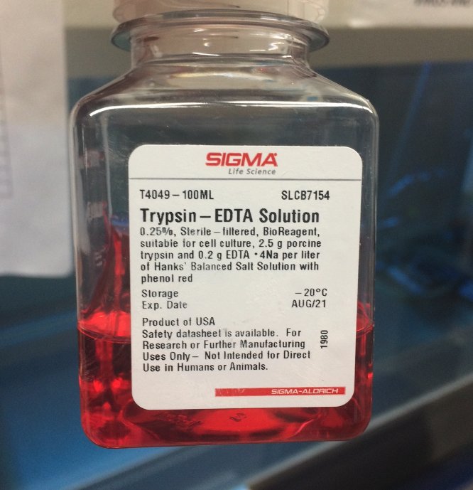 Trypsin for Tissue Culture Kit/Reagent Review